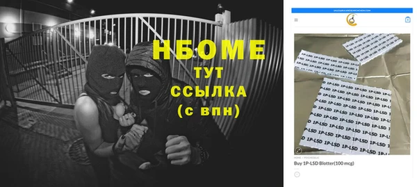 хмурый Нея