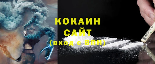 хмурый Нея