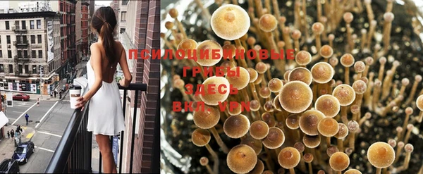 хмурый Нея