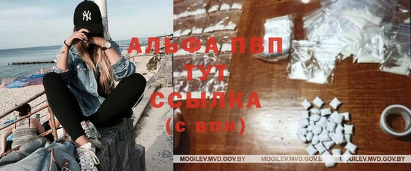 хмурый Нея