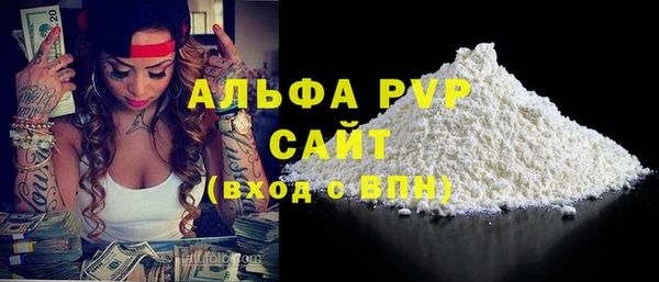 хмурый Нея