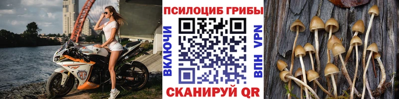 Галлюциногенные грибы GOLDEN TEACHER  даркнет как зайти  Шилка 